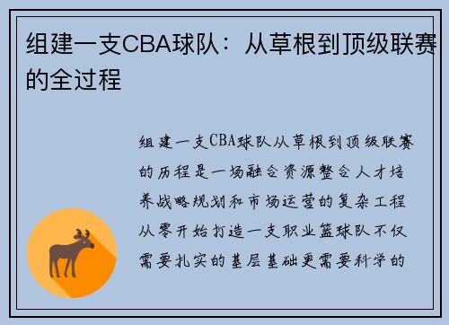 组建一支CBA球队：从草根到顶级联赛的全过程
